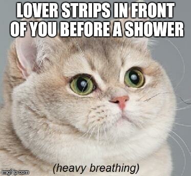 Heavy Breathing Cat | LOVER STRIPS IN FRONT OF YOU BEFORE A SHOWER | image tagged in memes,heavy breathing cat | made w/ Imgflip meme maker
