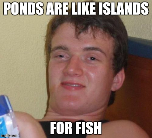 10 Guy Meme | PONDS ARE LIKE ISLANDS FOR FISH | image tagged in memes,10 guy | made w/ Imgflip meme maker