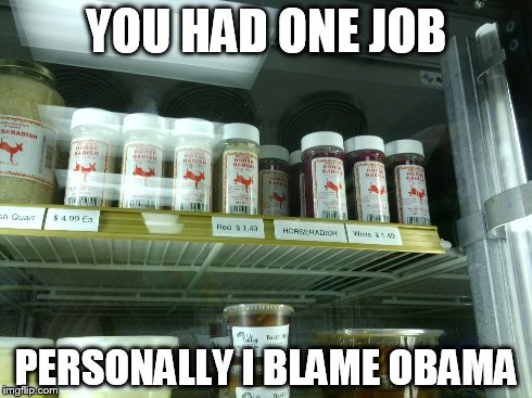 YOU HAD ONE JOB PERSONALLY I BLAME OBAMA | image tagged in goddamn it obama | made w/ Imgflip meme maker