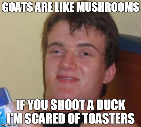 10 Guy Meme | GOATS ARE LIKE MUSHROOMS IF YOU SHOOT A DUCK I'M SCARED OF TOASTERS | image tagged in memes,10 guy | made w/ Imgflip meme maker