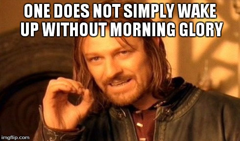 One Does Not Simply | ONE DOES NOT SIMPLY WAKE UP WITHOUT MORNING GLORY | image tagged in memes,one does not simply | made w/ Imgflip meme maker