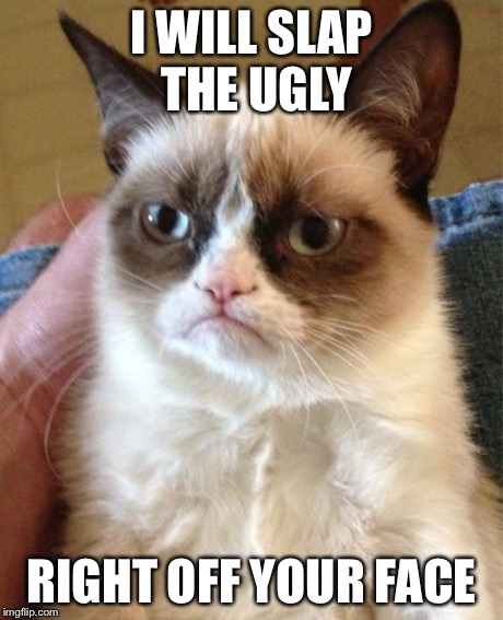 Grumpy Cat | I WILL SLAP THE UGLY RIGHT OFF YOUR FACE | image tagged in memes,grumpy cat | made w/ Imgflip meme maker