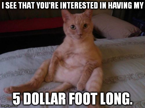 Chester The Cat | I SEE THAT YOU'RE INTERESTED IN HAVING MY 5 DOLLAR FOOT LONG. | image tagged in memes,chester the cat | made w/ Imgflip meme maker