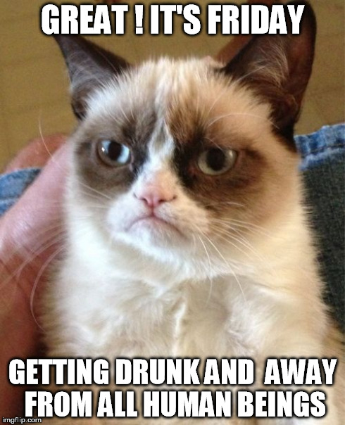 Grumpy Cat | GREAT ! IT'S FRIDAY GETTING DRUNK AND  AWAY FROM ALL HUMAN BEINGS | image tagged in memes,grumpy cat | made w/ Imgflip meme maker