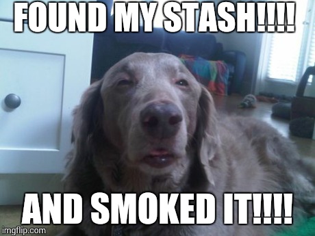 High Dog | FOUND MY STASH!!!! AND SMOKED IT!!!! | image tagged in memes,high dog | made w/ Imgflip meme maker