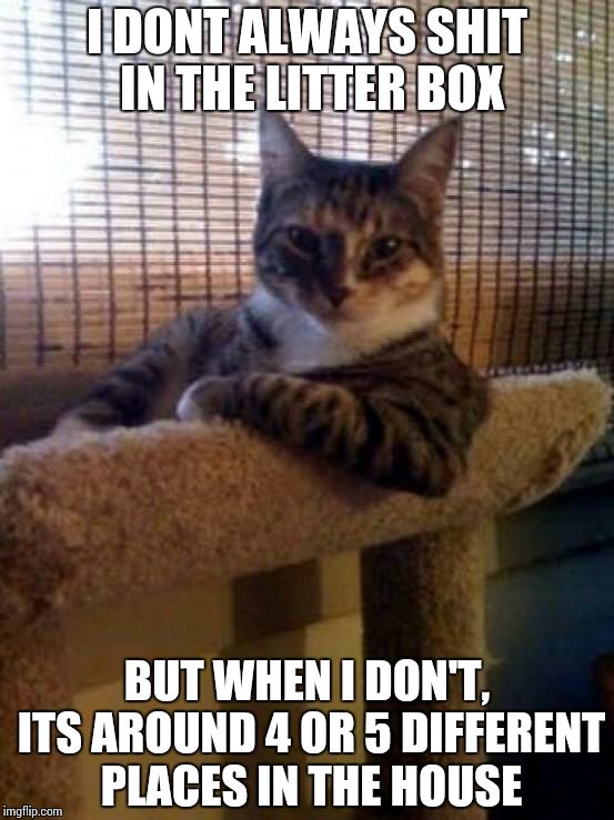 The Most Interesting Cat In The World Meme | I DONT ALWAYS SHIT IN THE LITTER BOX BUT WHEN I DON'T, ITS AROUND 4 OR 5 DIFFERENT PLACES IN THE HOUSE | image tagged in memes,the most interesting cat in the world | made w/ Imgflip meme maker