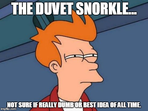 Futurama Fry Meme | THE DUVET SNORKLE... NOT SURE IF REALLY DUMB OR BEST IDEA OF ALL TIME. | image tagged in memes,futurama fry | made w/ Imgflip meme maker