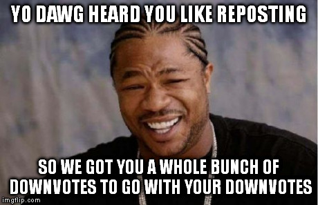 Yo Dawg Heard You | YO DAWG HEARD YOU LIKE REPOSTING SO WE GOT YOU A WHOLE BUNCH OF DOWNVOTES TO GO WITH YOUR DOWNVOTES | image tagged in memes,yo dawg heard you | made w/ Imgflip meme maker