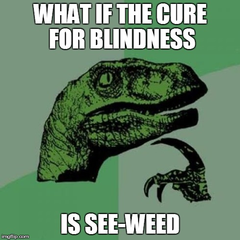 Philosoraptor | WHAT IF THE CURE FOR BLINDNESS IS SEE-WEED | image tagged in memes,philosoraptor,AdviceAnimals | made w/ Imgflip meme maker