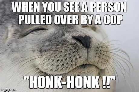 Satisfied Seal | WHEN YOU SEE A PERSON PULLED OVER BY A COP "HONK-HONK !!" | image tagged in memes,satisfied seal | made w/ Imgflip meme maker