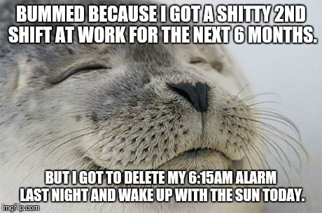 Satisfied Seal | BUMMED BECAUSE I GOT A SHITTY 2ND SHIFT AT WORK FOR THE NEXT 6 MONTHS. BUT I GOT TO DELETE MY 6:15AM ALARM LAST NIGHT AND WAKE UP WITH THE S | image tagged in memes,satisfied seal | made w/ Imgflip meme maker