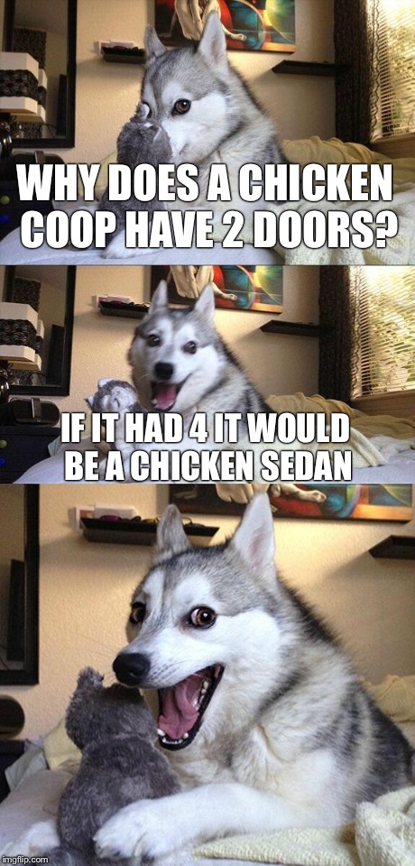Bad Pun Dog | WHY DOES A CHICKEN COOP HAVE 2 DOORS? IF IT HAD 4 IT WOULD BE A CHICKEN SEDAN | image tagged in memes,bad pun dog | made w/ Imgflip meme maker