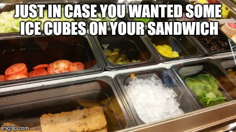 THANKS SUBWAY | JUST IN CASE YOU WANTED SOME ICE CUBES ON YOUR SANDWICH | image tagged in thanks subway | made w/ Imgflip meme maker