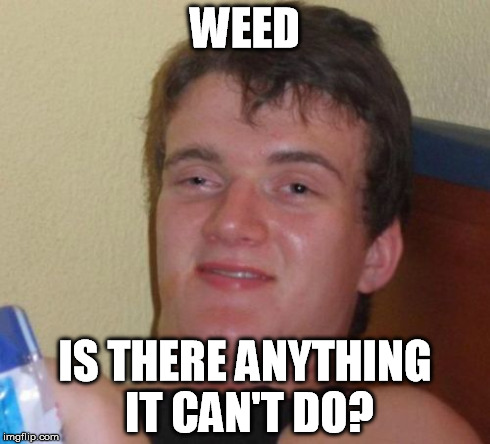 10 Guy Meme | WEED IS THERE ANYTHING IT CAN'T DO? | image tagged in memes,10 guy | made w/ Imgflip meme maker