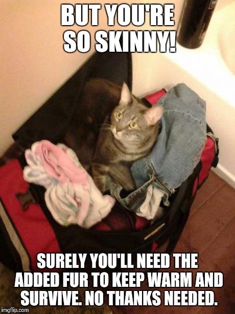 BUT YOU'RE SO SKINNY! SURELY YOU'LL NEED THE ADDED FUR TO KEEP WARM AND SURVIVE. NO THANKS NEEDED. | image tagged in i do good | made w/ Imgflip meme maker
