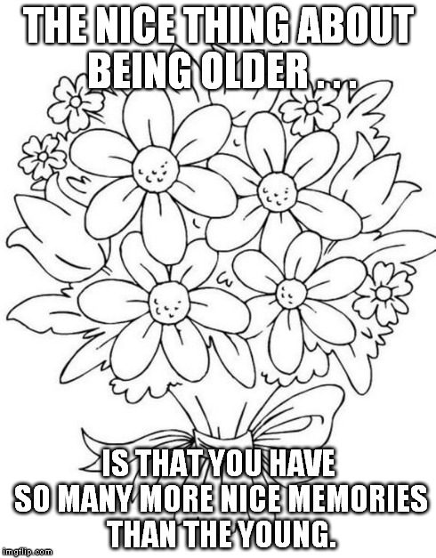 Memories | THE NICE THING ABOUT BEING OLDER . . . IS THAT YOU HAVE SO MANY MORE NICE MEMORIES THAN THE YOUNG. | image tagged in memes | made w/ Imgflip meme maker