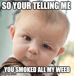 Skeptical Baby Meme | SO YOUR TELLING ME YOU SMOKED ALL MY WEED | image tagged in memes,skeptical baby | made w/ Imgflip meme maker