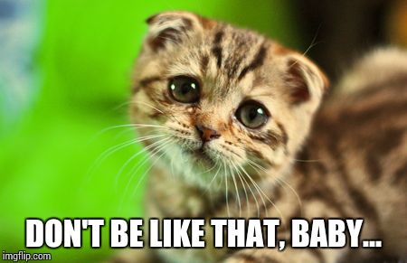 C'mon baby... | DON'T BE LIKE THAT, BABY... | image tagged in kitty,cute,baby,love,mean,don't be like that | made w/ Imgflip meme maker