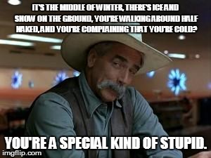 special kind of stupid | IT'S THE MIDDLE OF WINTER, THERE'S ICE AND SNOW ON THE GROUND, YOU'RE WALKING AROUND HALF NAKED, AND YOU'RE COMPLAINING THAT YOU'RE COLD? YO | image tagged in special kind of stupid | made w/ Imgflip meme maker