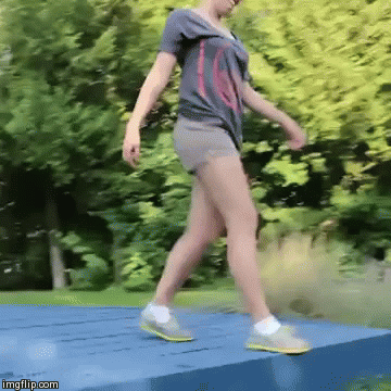 Paramedic dogs | image tagged in gifs,cute,dogs | made w/ Imgflip video-to-gif maker