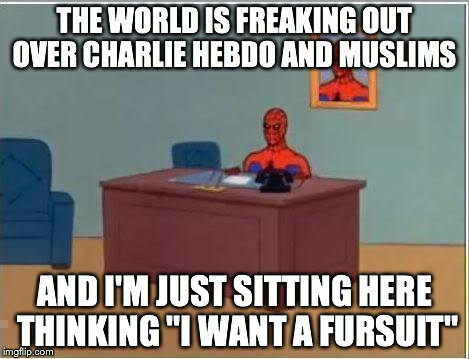 Spider Suit | THE WORLD IS FREAKING OUT OVER CHARLIE HEBDO AND MUSLIMS AND I'M JUST SITTING HERE THINKING "I WANT A FURSUIT" | image tagged in memes,spiderman computer desk,spiderman | made w/ Imgflip meme maker