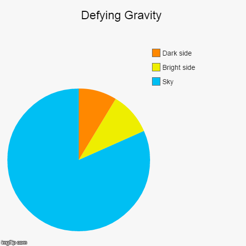 Not a Piechart Piechart | image tagged in funny,piecharts | made w/ Imgflip chart maker
