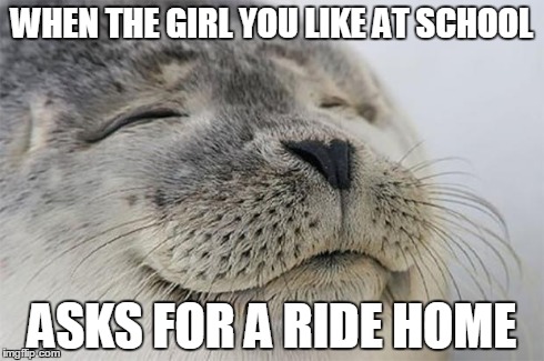 Satisfied Seal | WHEN THE GIRL YOU LIKE AT SCHOOL ASKS FOR A RIDE HOME | image tagged in memes,satisfied seal | made w/ Imgflip meme maker