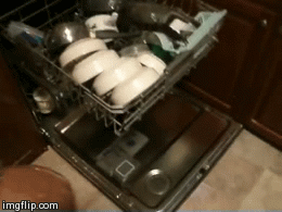 image tagged in gifs | made w/ Imgflip video-to-gif maker