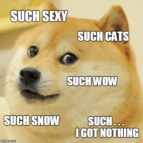 Doge Meme | SUCH SEXY SUCH CATS SUCH WOW SUCH SNOW SUCH . . . I GOT NOTHING | image tagged in memes,doge | made w/ Imgflip meme maker