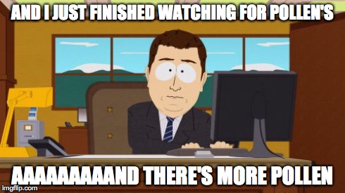 Aaaaand Its Gone | AND I JUST FINISHED WATCHING FOR POLLEN'S AAAAAAAAAND THERE'S MORE POLLEN | image tagged in memes,aaaaand its gone | made w/ Imgflip meme maker