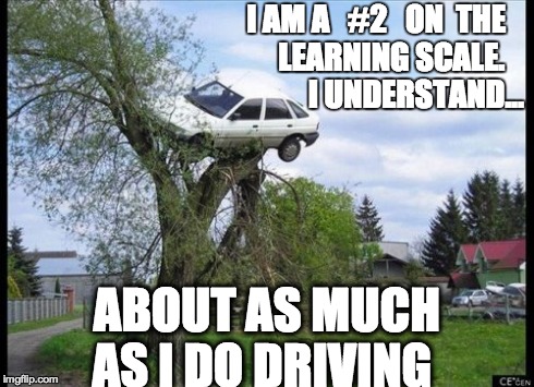 Secure Parking | I AM A   #2   ON  THE             LEARNING SCALE.
                    I UNDERSTAND... ABOUT AS MUCH AS I DO DRIVING | image tagged in memes,secure parking | made w/ Imgflip meme maker