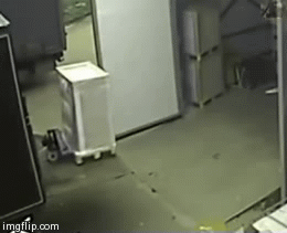 Let it go! | FFS, LET IT GO! | image tagged in gifs | made w/ Imgflip video-to-gif maker