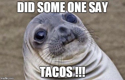 Awkward Moment Sealion | DID SOME ONE SAY TACOS !!! | image tagged in memes,awkward moment sealion | made w/ Imgflip meme maker