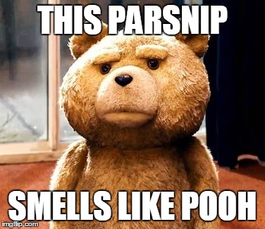 To pun, or not to pun, that is the question | THIS PARSNIP SMELLS LIKE POOH | image tagged in memes,ted | made w/ Imgflip meme maker