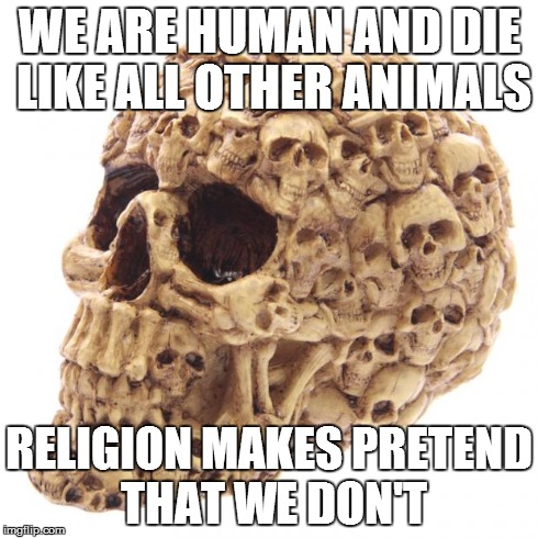 WE ARE HUMAN AND DIE LIKE ALL OTHER ANIMALS RELIGION MAKES PRETEND THAT WE DON'T | image tagged in creepy skull | made w/ Imgflip meme maker