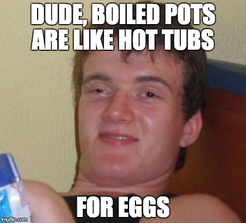 10 Guy | DUDE, BOILED POTS ARE LIKE HOT TUBS FOR EGGS | image tagged in memes,10 guy | made w/ Imgflip meme maker