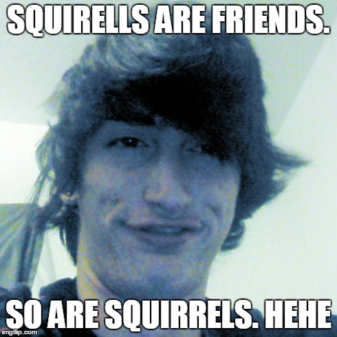 SQUIRELLS ARE FRIENDS. SO ARE SQUIRRELS. HEHE | image tagged in friends,squirrels | made w/ Imgflip meme maker