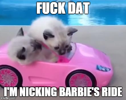 I Just Got My Licence Cat | F**K DAT I'M NICKING BARBIE'S RIDE | image tagged in i just got my licence cat | made w/ Imgflip meme maker