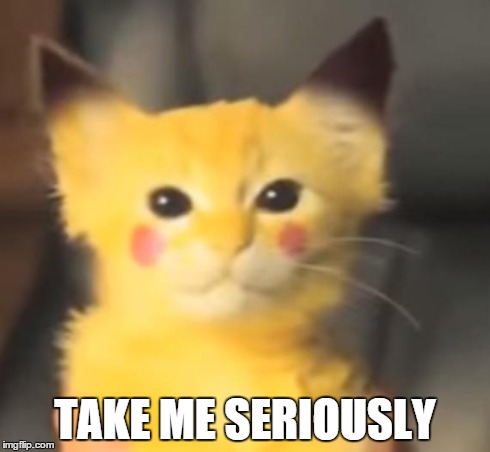 TAKE ME SERIOUSLY | image tagged in pika cat | made w/ Imgflip meme maker