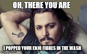 Johnny Depp ENJO | OH, THERE YOU ARE I POPPED YOUR ENJO FIBRES IN THE WASH | image tagged in johnny depp enjo | made w/ Imgflip meme maker
