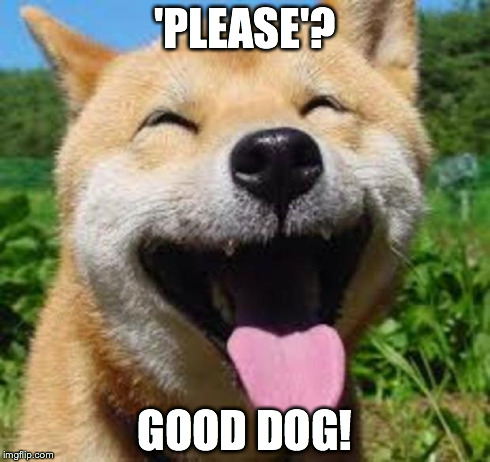 Happy Doge | 'PLEASE'? GOOD DOG! | image tagged in happy doge | made w/ Imgflip meme maker