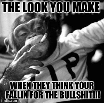 because fuck you, thats why | THE LOOK YOU MAKE WHEN THEY THINK YOUR FALLIN FOR THE BULLSHIT!!! | image tagged in because fuck you thats why | made w/ Imgflip meme maker
