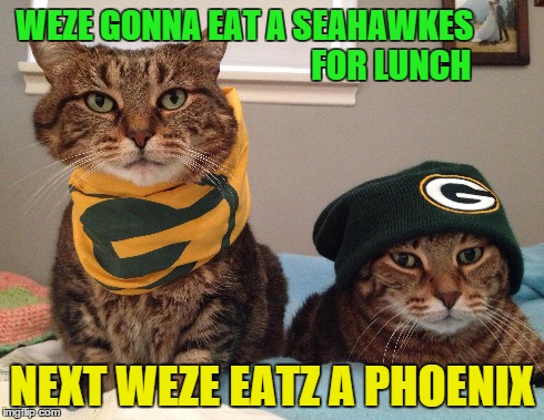 Packer Cat Meme | WEZE GONNA EAT A SEAHAWKES                                            FOR LUNCH NEXT WEZE EATZ A PHOENIX | image tagged in packers,seahawkes,nfc championship,packers cat | made w/ Imgflip meme maker