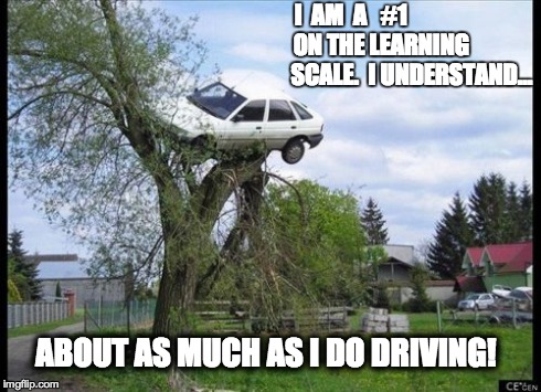 Secure Parking Meme | I  AM  A   #1           
                 ON THE LEARNING                             SCALE.  I UNDERSTAND... ABOUT AS MUCH AS I DO DRIVING! | image tagged in memes,secure parking | made w/ Imgflip meme maker