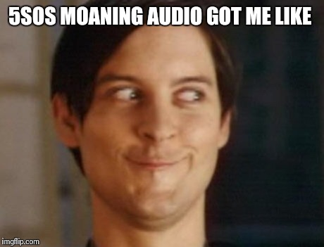 Spiderman Peter Parker Meme | 5SOS MOANING AUDIO GOT ME LIKE | image tagged in memes,spiderman peter parker | made w/ Imgflip meme maker