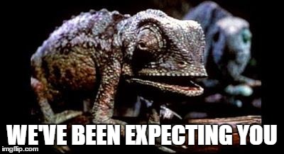 Lizard | WE'VE BEEN EXPECTING YOU | image tagged in lizard,AdviceAnimals | made w/ Imgflip meme maker