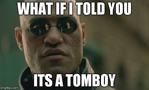 Matrix Morpheus Meme | WHAT IF I TOLD YOU ITS A TOMBOY | image tagged in memes,matrix morpheus | made w/ Imgflip meme maker