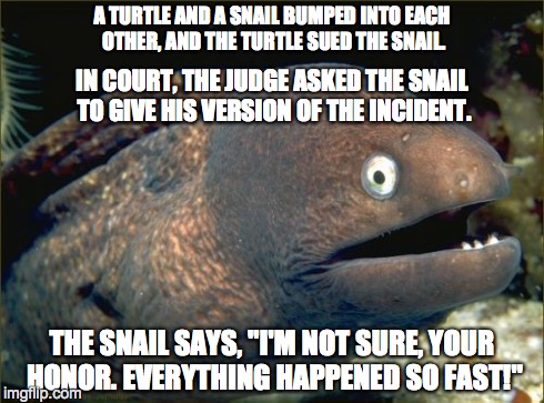 Bad Joke Eel Meme | A TURTLE AND A SNAIL BUMPED INTO EACH OTHER, AND THE TURTLE SUED THE SNAIL. THE SNAIL SAYS, "I'M NOT SURE, YOUR HONOR. EVERYTHING HAPPENED S | image tagged in memes,bad joke eel | made w/ Imgflip meme maker
