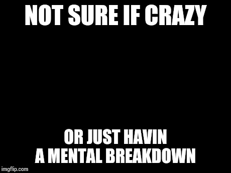 Not sure if crazy | NOT SURE IF CRAZY OR JUST HAVIN A MENTAL BREAKDOWN | image tagged in memes,futurama fry | made w/ Imgflip meme maker