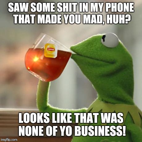 But That's None Of My Business Meme | SAW SOME SHIT IN MY PHONE THAT MADE YOU MAD, HUH? LOOKS LIKE THAT WAS NONE OF YO BUSINESS! | image tagged in memes,but thats none of my business,kermit the frog | made w/ Imgflip meme maker